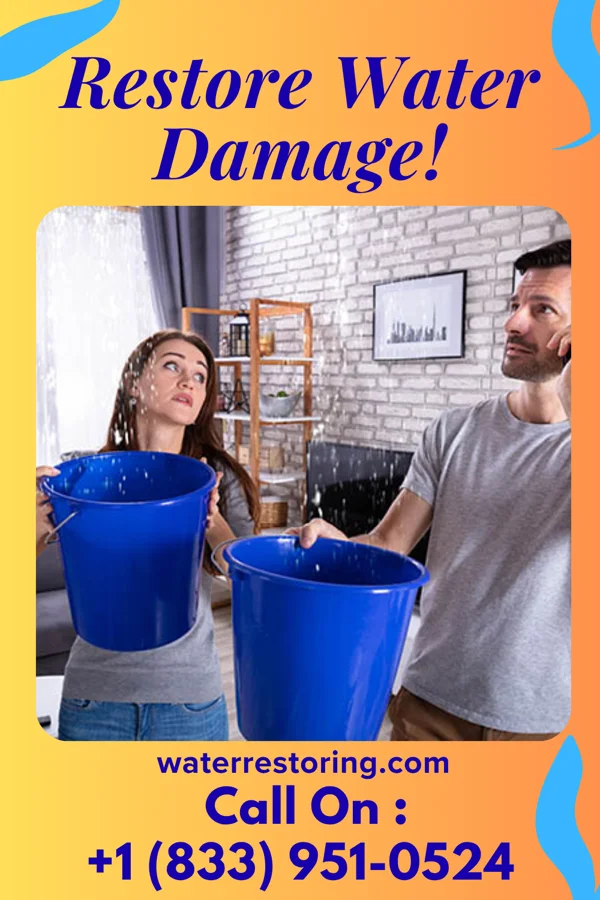 water restoration Universal Emergency Restoration Force Seligman