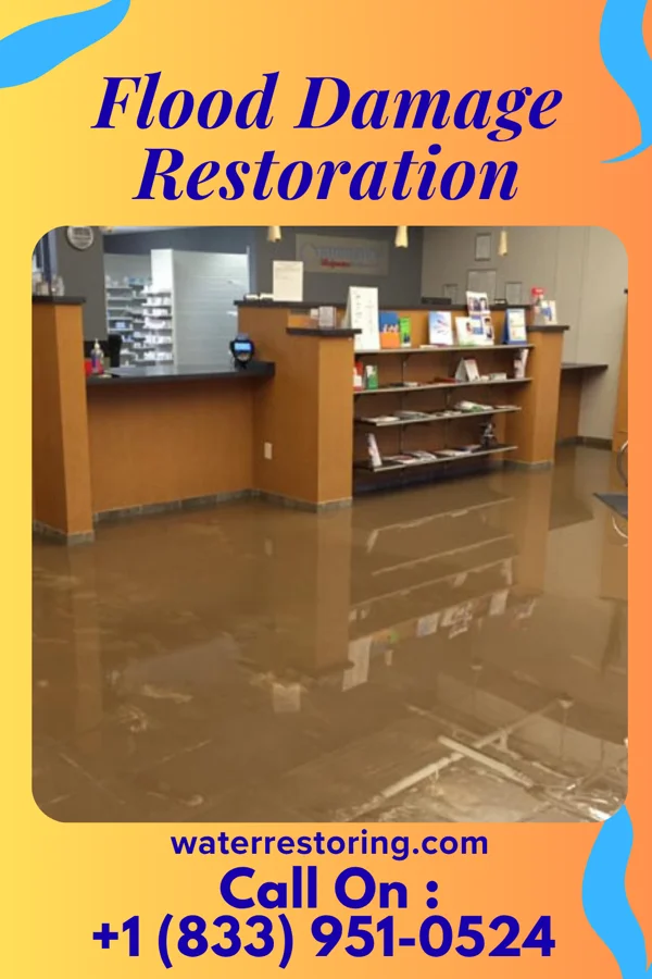 Flood Damage Restoration in Seligman, MO
