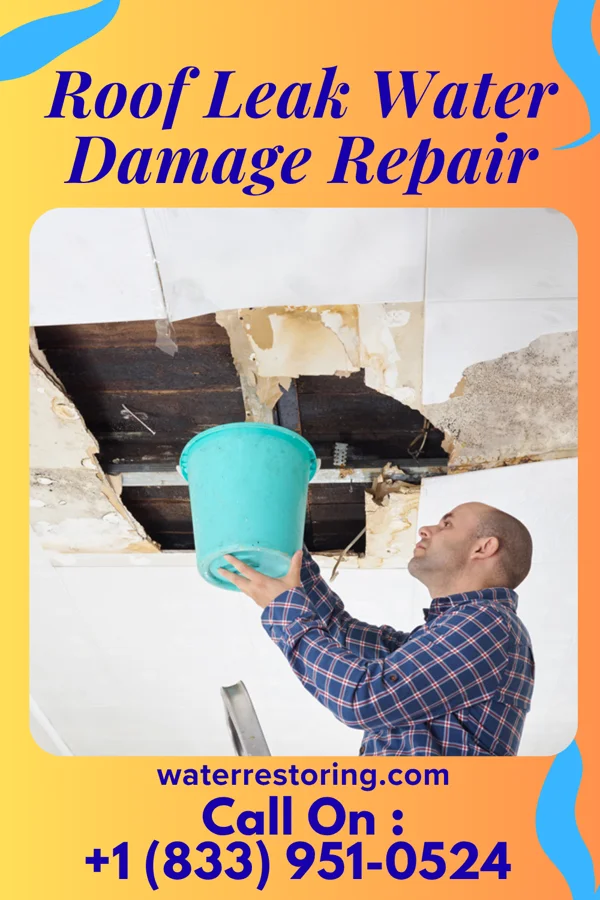 Roof Leak Water Damage Repair in Seligman, MO